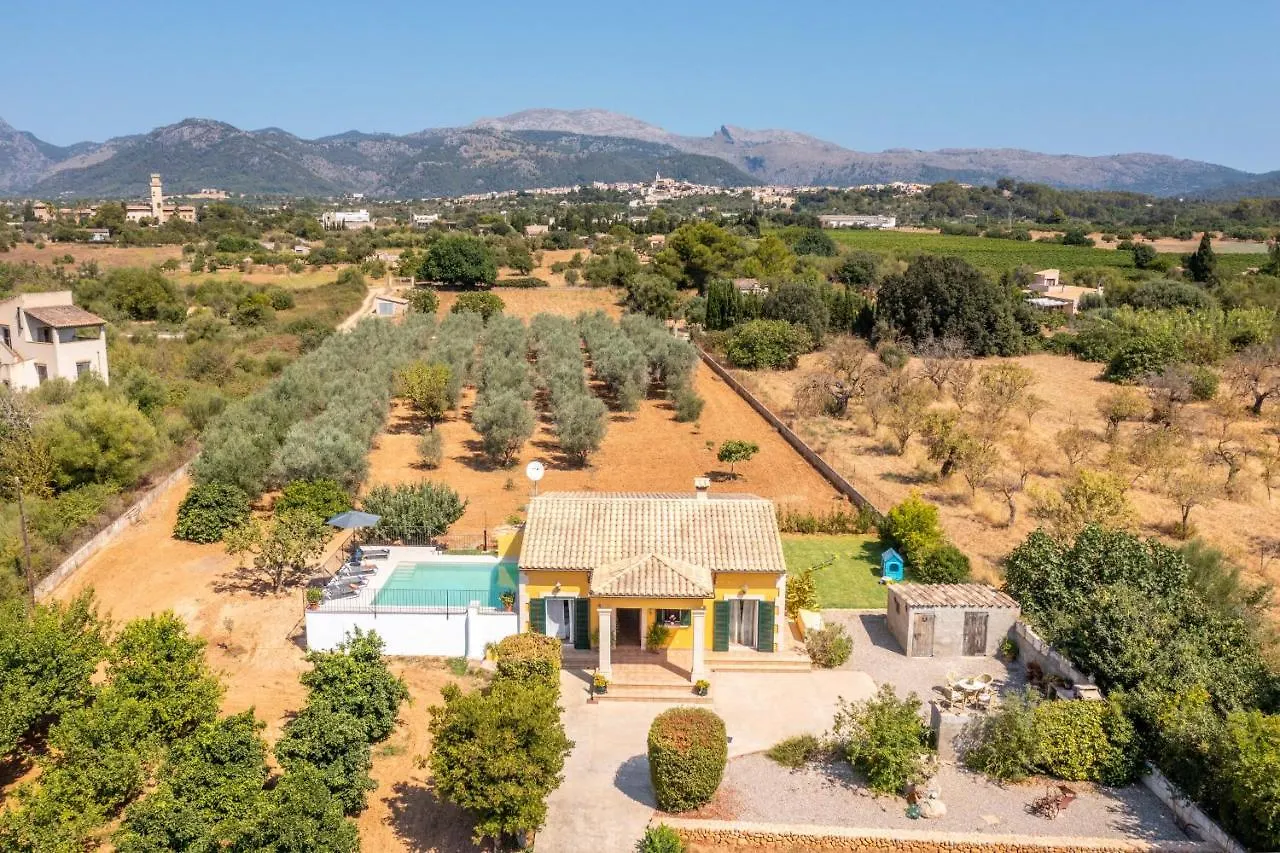 Buger - 40077 Mallorca Holiday home